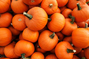 Pumpkin Decorations