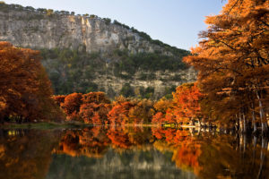 fall foliage in Texas