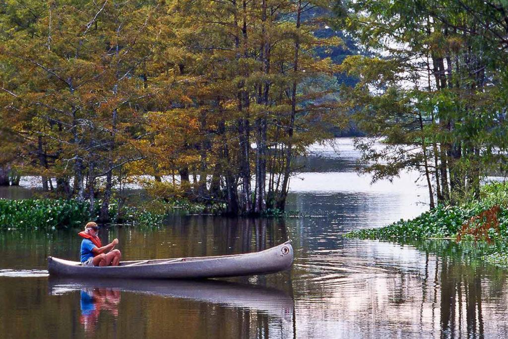 East Texas state parks